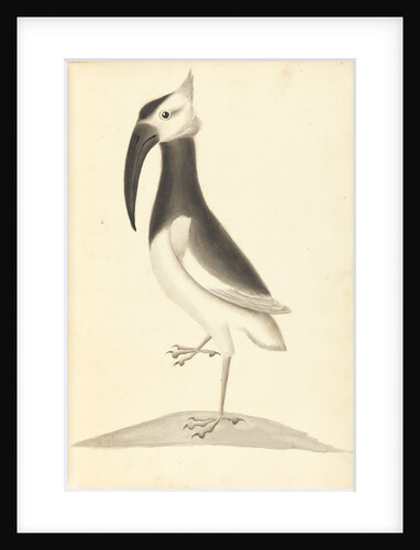 Plate from 'A Narrative of Commodore Anson's into the Great South Sea and Round the World' by unknown