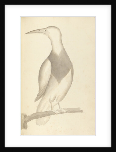 Plate from 'A Narrative of Commodore Anson's into the Great South Sea and Round the World' by unknown