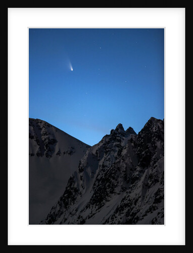 Icy Visitor by Fredrik Broms