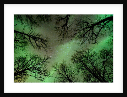 Surrounded by Space by Fredrik Broms