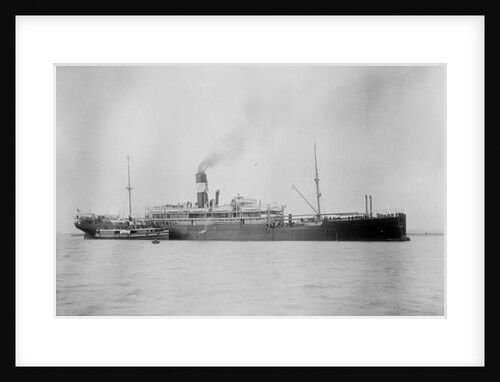 'Waratah' (Br, 1908) by unknown