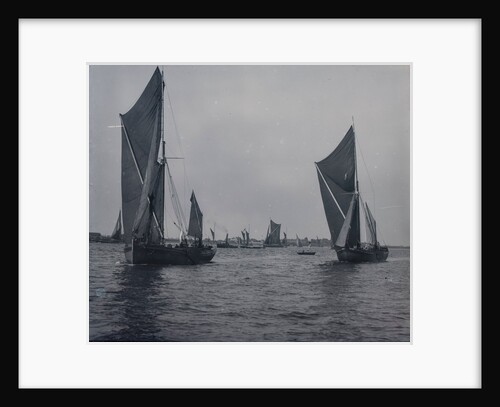 1897 Thames Barge Match: Haughty Bell (1896); Plantagenet (1878) by unknown