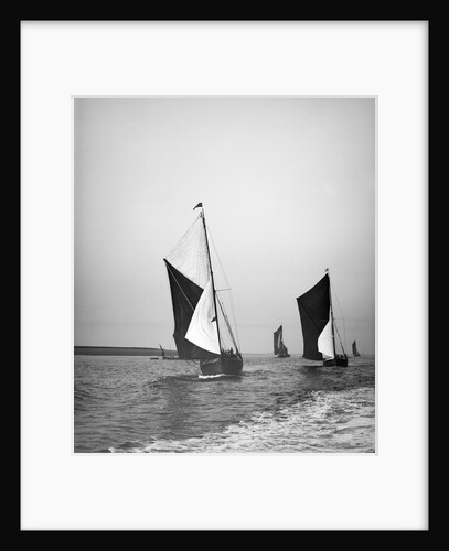 Sailing barge 'Sirdar' (Br, 1898) racing with other barges in the 1899 Thames Barge Match by Anonymous