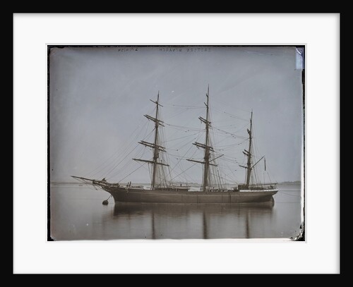 Eastern Monarch (1874) by Unknown