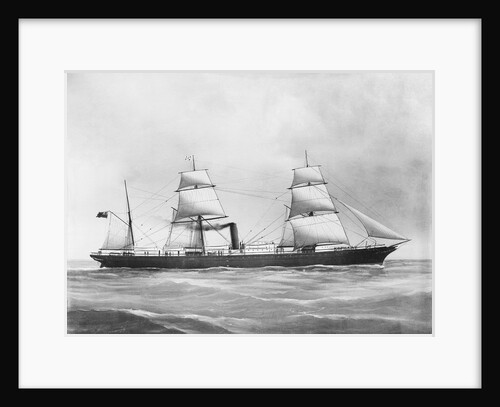'Cuzco' (1871) by F. C. Gould & Son