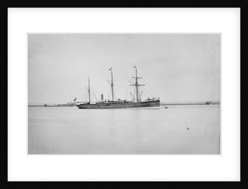 'Sultan' (Br, 1873) by unknown