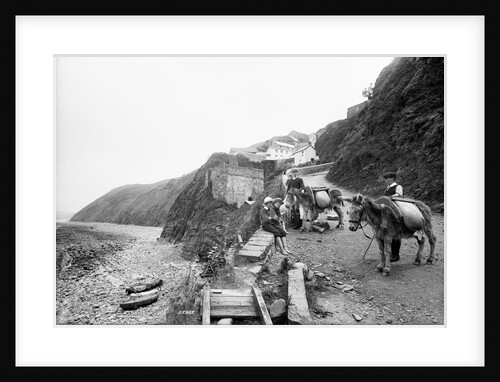 Pack donkeys, Bucks Mills, Devon by Francis Frith & Co.