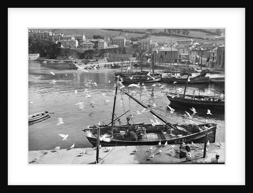 Harbour and flock of seagulls, Mevagissey, Cornwall by Francis Frith & Co.