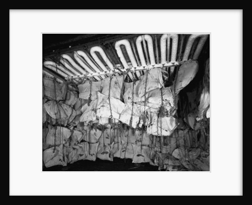Frozen meat in the hold of the 'Highland Rover' (1910) by Bedford Lemere & Co.