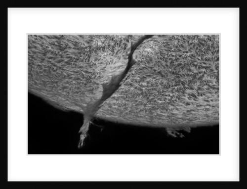Huge Filaprom by Gabriel Octavian Corban