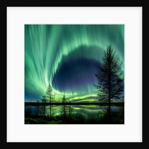 In Autumn Dance by Kamil Nureev