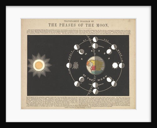 Transparent Diagram of the Phases of the Moon by James Reynolds