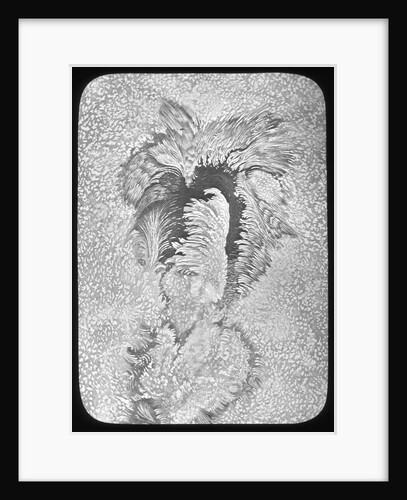 Lantern slide by York & Son