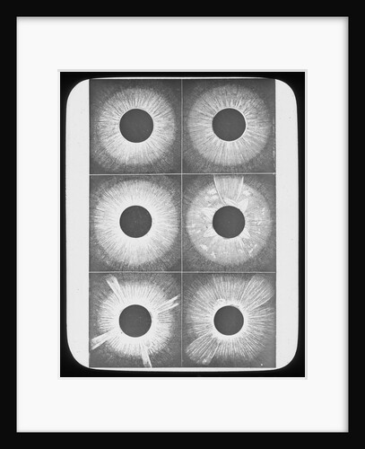 Lantern slide by York & Son