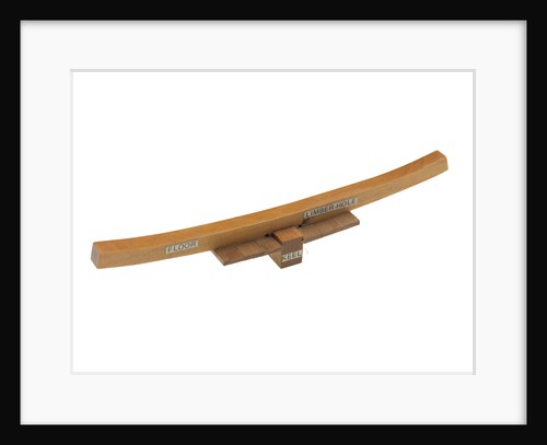 Component model; Frame model by James Lees