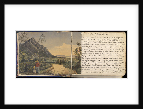 Double page spread from the Cree Journal (3rd party clearance required for commercial use) by Edward Cree