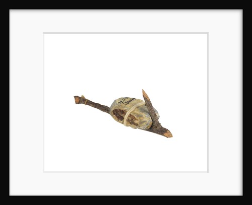Equipment model; Anchor model; Killick by unknown
