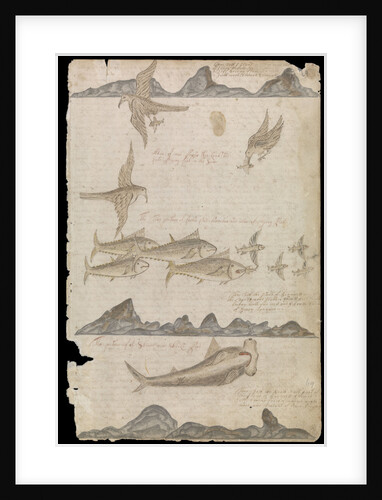 Plate from Edward Barlow's journal of his life at sea in king's ships, East & West Indiamen & other merchantmen from 1659 to 1703. by Edward Barlow