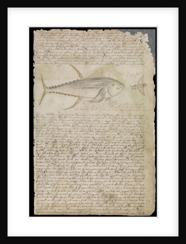 Plate from Edward Barlow's journal of his life at sea in king's ships, East & West Indiamen & other merchantmen from 1659 to 1703. by Edward Barlow