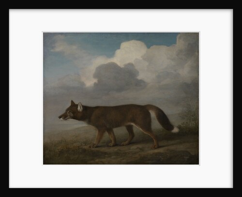 Portrait of a large dog (Dingo) by George Stubbs