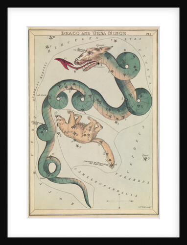 Draco and Ursa Minor by Sidney Hall