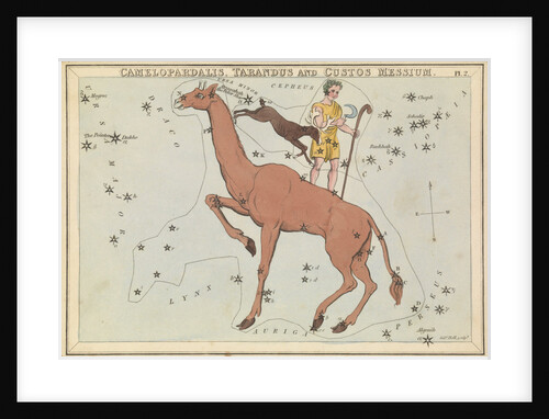 Camelopadalis, Tarandus and Custos Messium by Sidney Hall