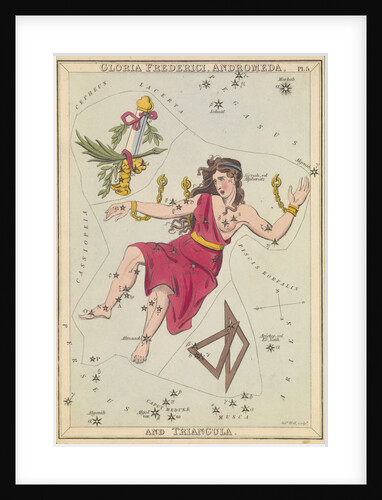 Gloria Frederich, Andromeda and Triangula by Sidney Hall