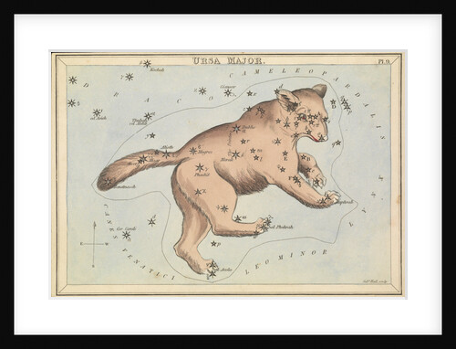 Ursa Major by Sidney Hall