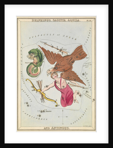 Delphinus, Sagitta, Aquila and Antinous by Sidney Hall