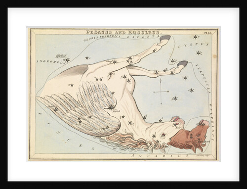 Pegasus and Equuleus by Sidney Hall