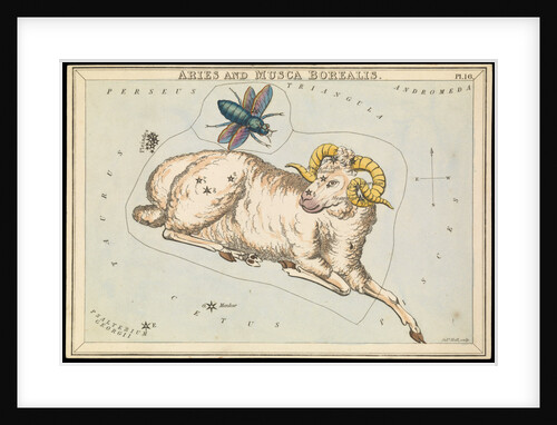 Aries and Musca borealis by Sidney Hall