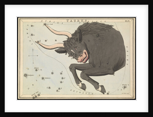 Taurus by Sidney Hall