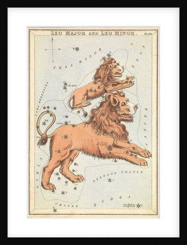 Leo Major and Leo Minor by Sidney Hall