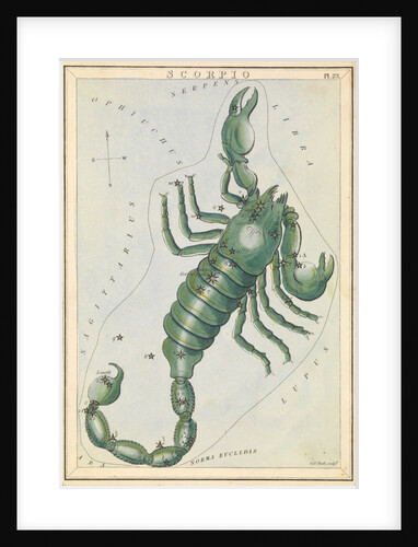 Scorpio by Sidney Hall