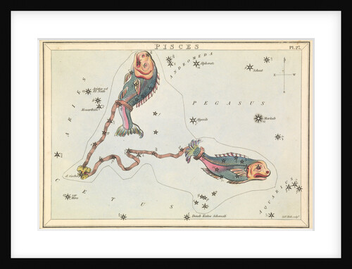 Pisces by Sidney Hall