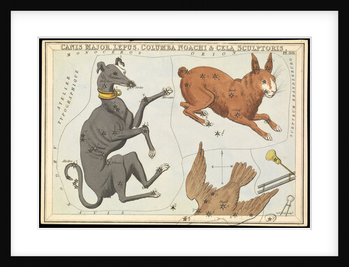Canis Major, Columba Noachi & Cela Sculptoris by Sidney Hall