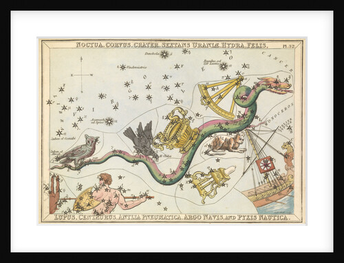 Nocyua, Corvus, Crater, Sextans Uraniae, Hydra, Felis, Lupus, Centaurus, Antlia Pneumatica, Argo Navis and Pyxis Nautica by Unknown