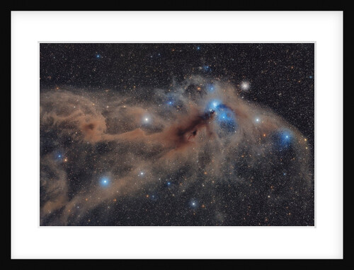 Corona Australis Dust Complex by Mario Cogo