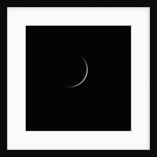 The Grace of Venus by Martin Lewis