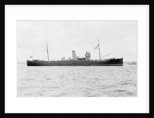 'Prestol' (Br, 1917) by unknown