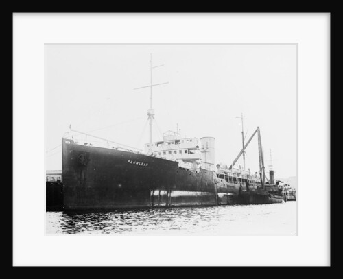 'Plumleaf' (Br, 1916) by Unknown