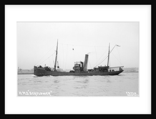 Trawler HMS 'Seaflower' (1908), 1912 by unknown