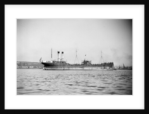 'Delphinula' (Br, 1908) by unknown