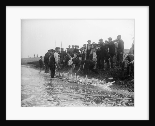 A catch coming ashore, somewhere on the south east coast, Tarry Adams Collection by unknown