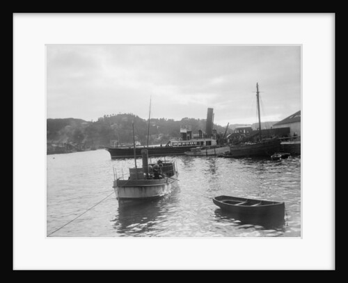 'Fusilier' (Br, 1888) paddle steamer (West coast of Scotland services), David MacBrayne Ltd by unknown