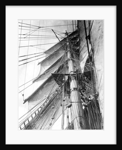 On board the 'Parma': looking aloft on the Mizzen, the interlacing stays supporting the mast by Alan Villiers