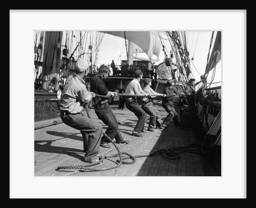 The 'Parma' (Fi, 1902) under sail by unknown