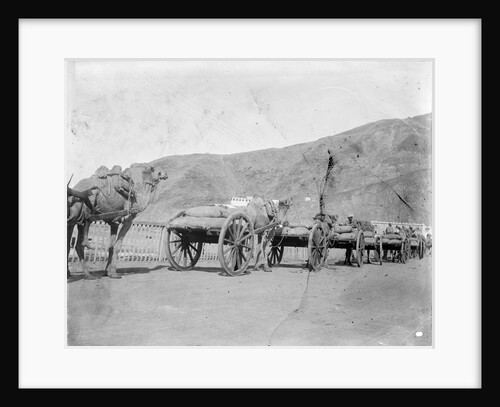 Camel carts lined up at Aden by Kenneth Hurlstone Jones
