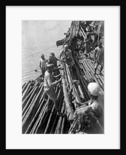 Unloading mangrove poles from the 'Triumph of Righteousness' by Alan Villiers