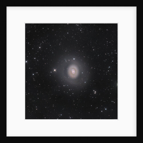 M94: Deep Space Halo by Nicolas Outters